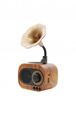 Nostaljik Mini Gramafon Radyo